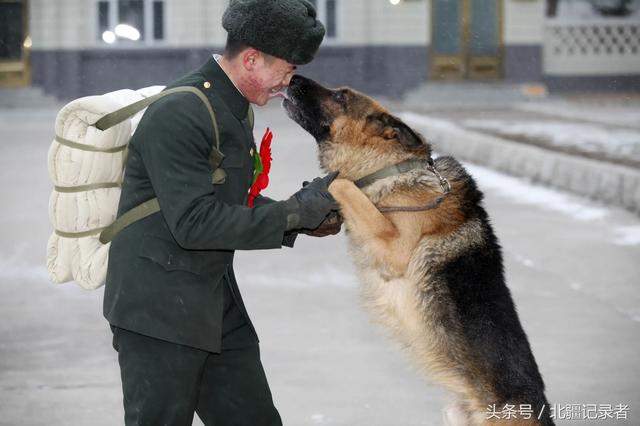 军犬训练:怎么当特种部队的军犬训导员？