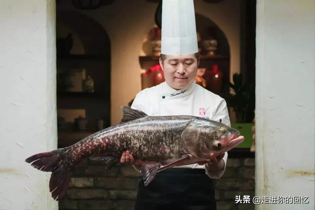9年前湖中曾出青鱼王212斤:澄江的青鱼为什么那么鲜美？