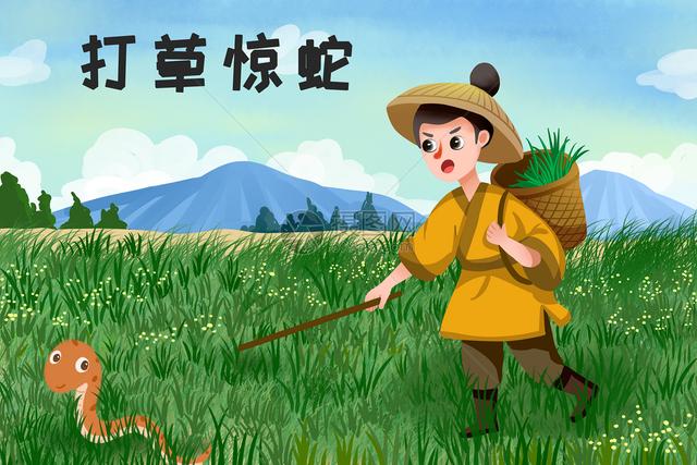 黑曼巴蛇的天敌:蛇最怕什么？在野外碰到蛇该怎么做呢？