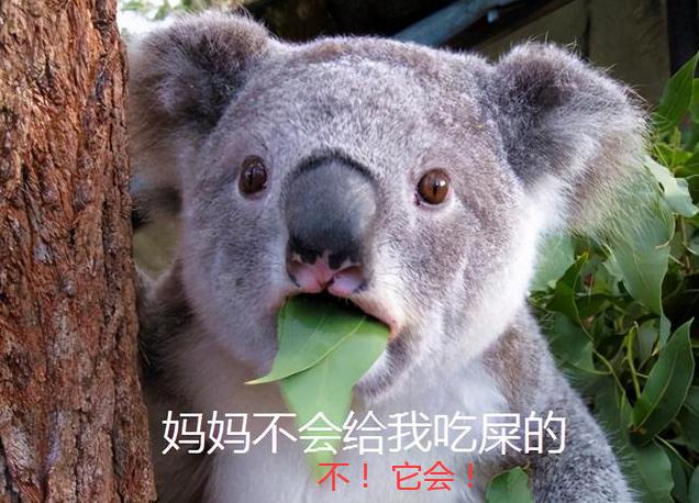 树懒和考拉的区别2:树懒这种防御能力较弱的物种，为什么没有被灭绝？