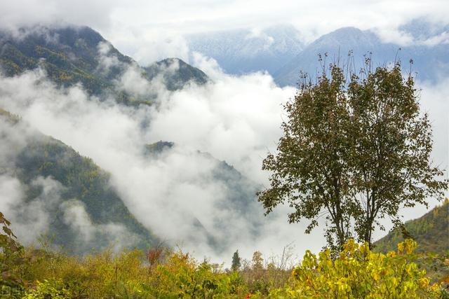 你认为怎样的旅游生活才更有意思？