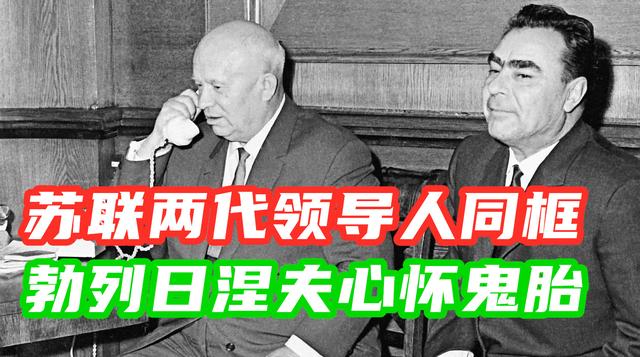 马士提夫能长多大:勃列日涅夫是如何夺取赫鲁晓夫政权的？其对苏联又有哪些贡献？