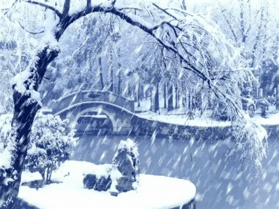 白狗:江山一笼统，井上黑窟窿，黄狗身上白，白狗身上肿。写的是什么？