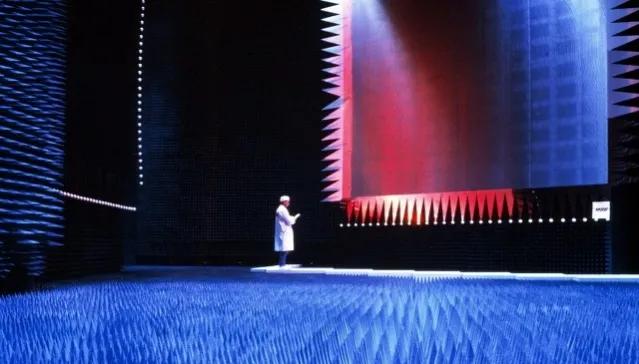 为什么有人说很少有人能在绝对静音无声的密室里撑过1小时？插图30