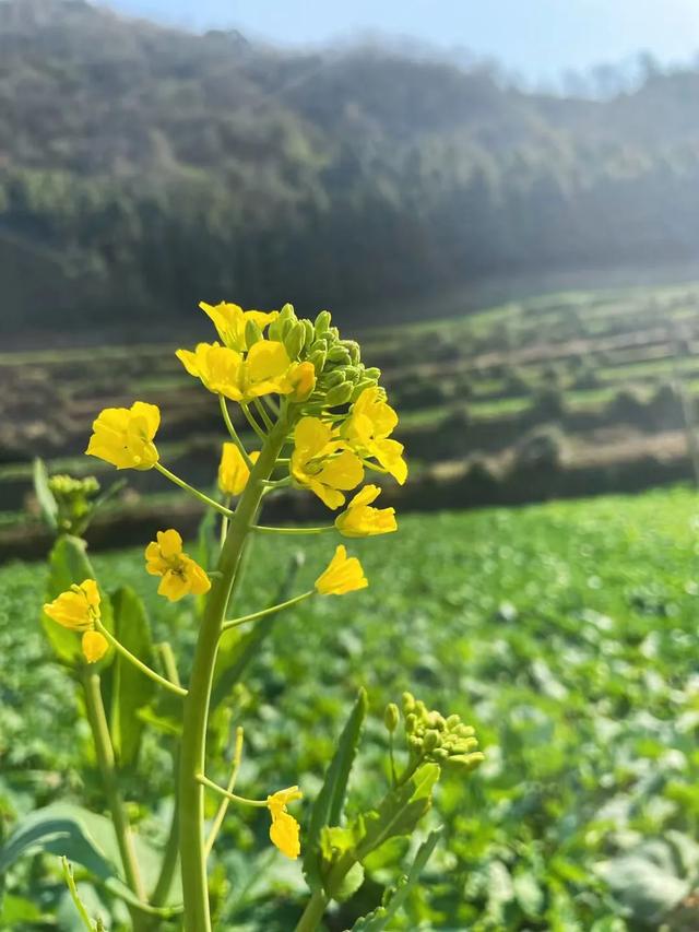 十万块钱放在哪里每月收益最大？