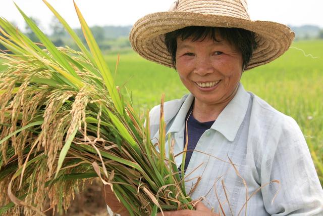 五感六觉的真正含义，赵州禅师“吃茶去”是什么意思