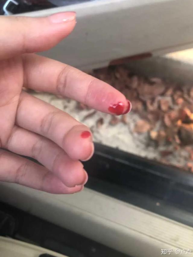 猫怕黄瓜图片gif:为什么有些猫咪害怕香蕉？