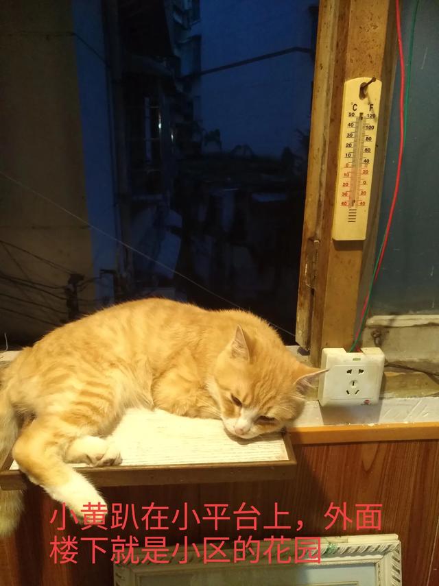 许喵喵mickey:笑到嘴巴抽筋的笑话有哪些