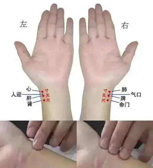 《内经》,《难经》论述切脉独取寸口原理,为什么自《难经》至今以独取