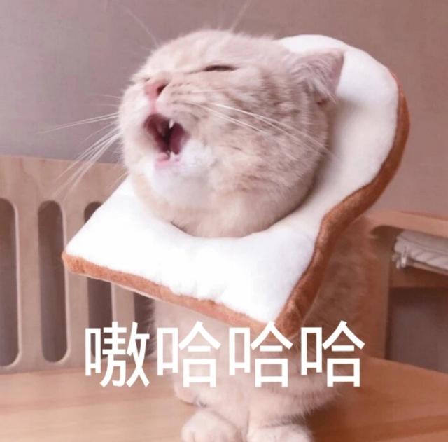 戚成钢的结局:为什么乔四美经历了戚成钢两次背叛才支棱起来？