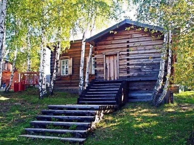 俄罗斯不明生物攀爬大楼，俄罗斯森林中有很多小木屋，但为什么都说不要轻易进去