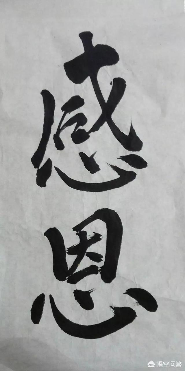 您对现在的专家有什么意见？