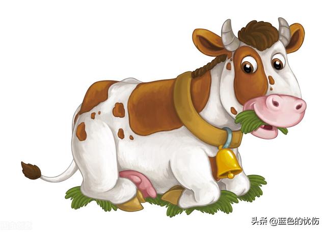 古牧犬的性格特点是什么:生肖牛的心态是怎么样的？