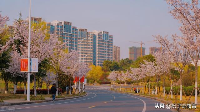 2022江苏大学和安徽大学实力哪个好一点(图2)