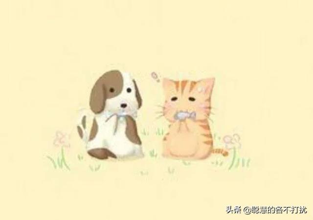 为什么养狗的女人不能娶:为什么老人常说:男不养猫、女不养狗？