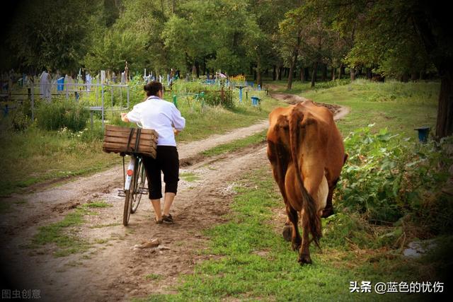 哪个生肖赚钱比较困难哪个生肖赚钱比较快