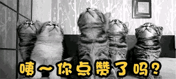猫惊尸:人去逝后为什么不充许猫从身上跳过？有什么讲究？