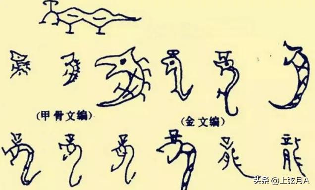 关于龙的传说真实事件，最后两条龙被夏朝人吃了是怎么一回事