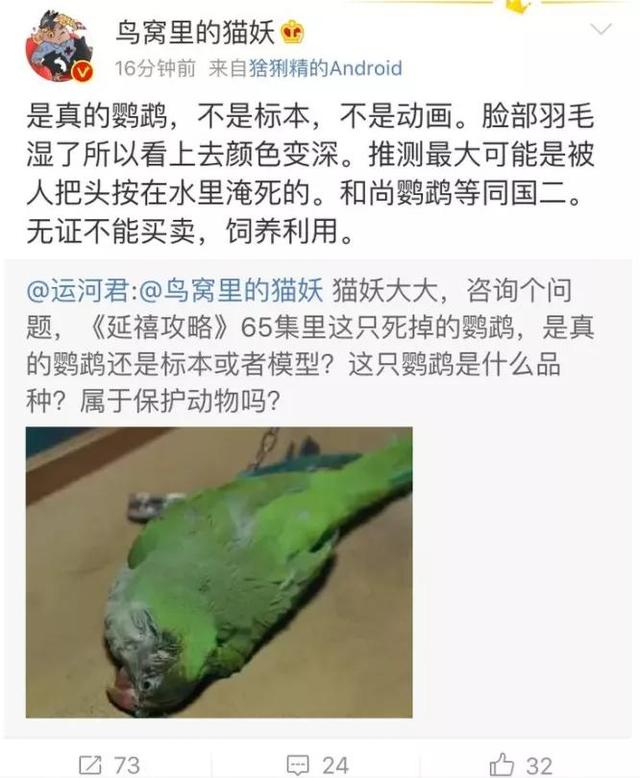 宠物志愿 全cg:宠物志愿全cg攻略 “杀狗虐猫”的影视剧，什么时候凉？