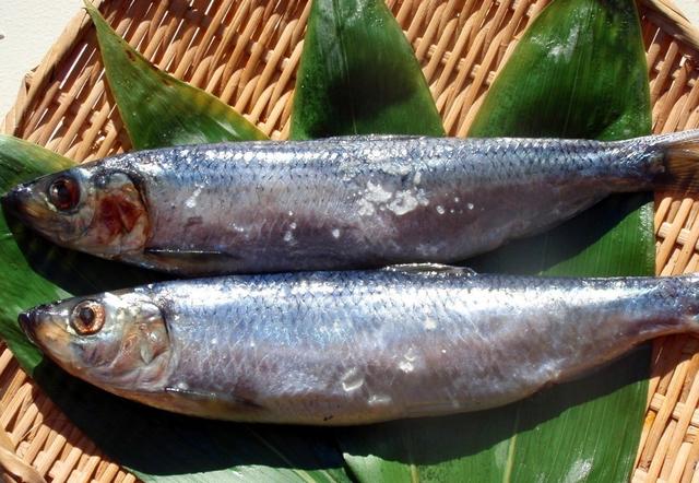 鲱鱼罐头是哪个国家的，世界上最“重口味”的美食，鲱鱼罐头能排第几
