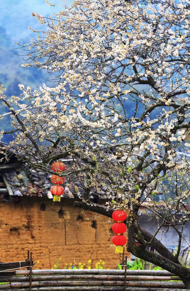 你感觉哪个网络平台的使用者整体素质较高,知乎、B站、小红书等？