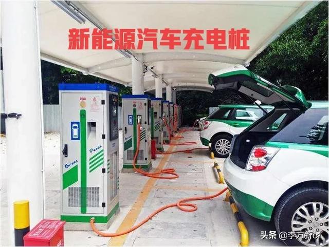 中国宠物商机网全新改版上线:未来3年，你能嗅到什么商机？