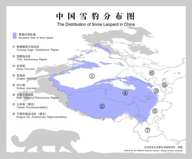 无知熊猫图:这种熊猫香烟价格大约在多少钱？