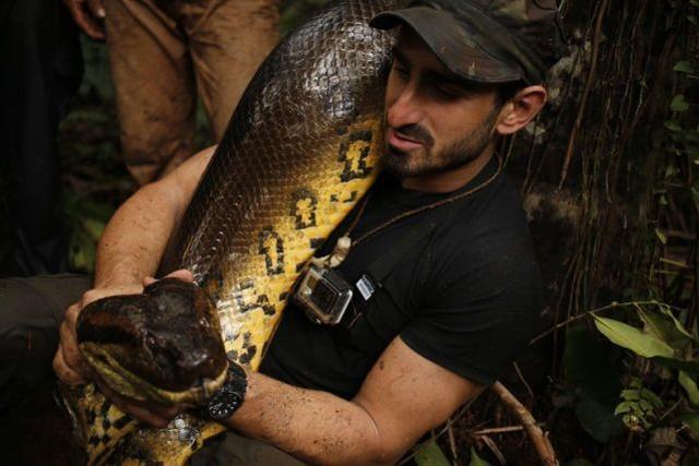 真实亚马逊纪录片，食人鱼这么可怕，为什么没有称霸亚马逊河