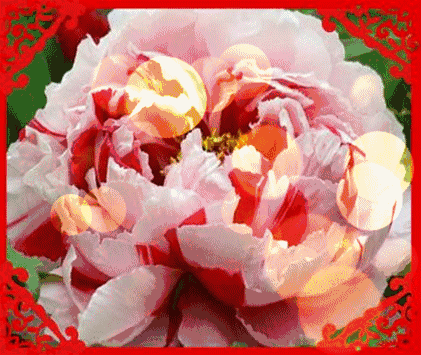 中国女足夺冠的影响力为什么这么大？