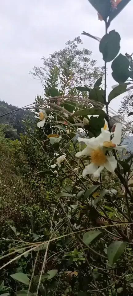 男人把女人说得一文不值,但是离婚又不同意为什么？