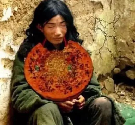 名宠社逍遥子:身边有没有懒得出奇的人？