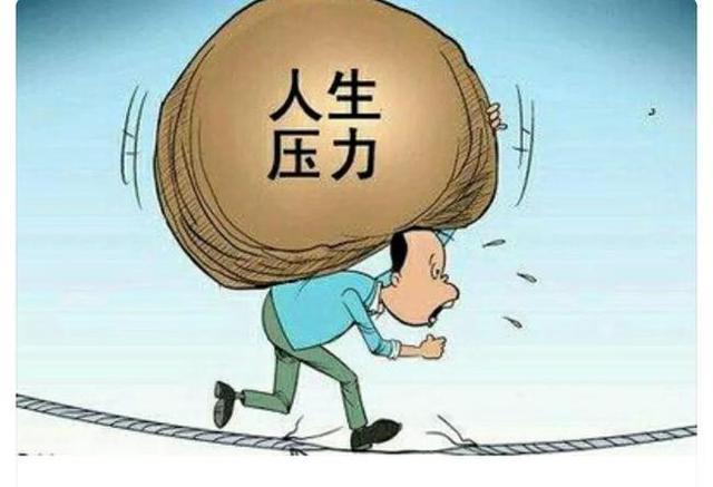 吸猫为什么有快感视频:为什么一些人爱看吃播视频？