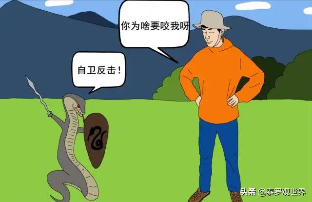 眼睛大王蛇有毒吗:眼镜蛇为什么不是百蛇之王？它的毒性不是很强吗？