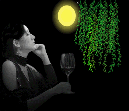 头条问答 - 你读过最孤独的情感语录是什么?(107个回答)