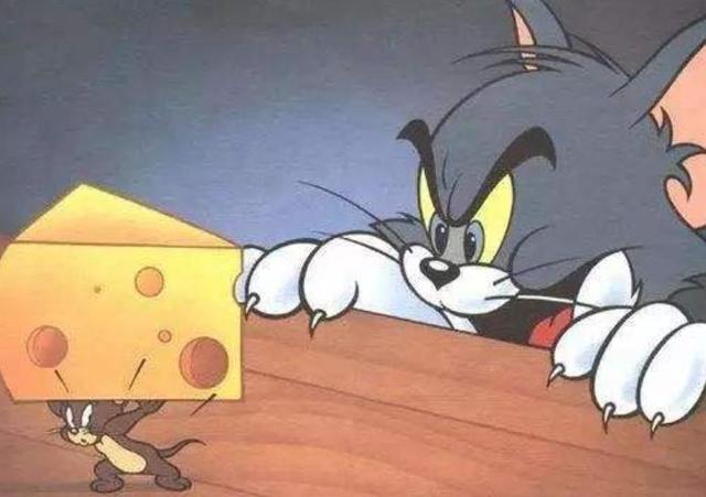 《猫和老鼠》中那种全是洞洞的奶酪叫什么名字，味道如何？插图9