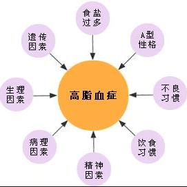 主持人秋林:秋林在哈尔滨是怎样的存在？