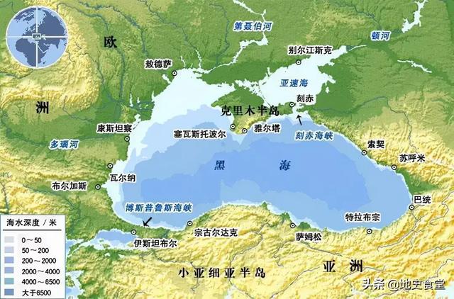 猫狗大战2猫怪的复仇:新猫跟旧猫打架，怎么办？