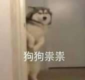 用什么软件可以更好管理订单和跟踪订单？