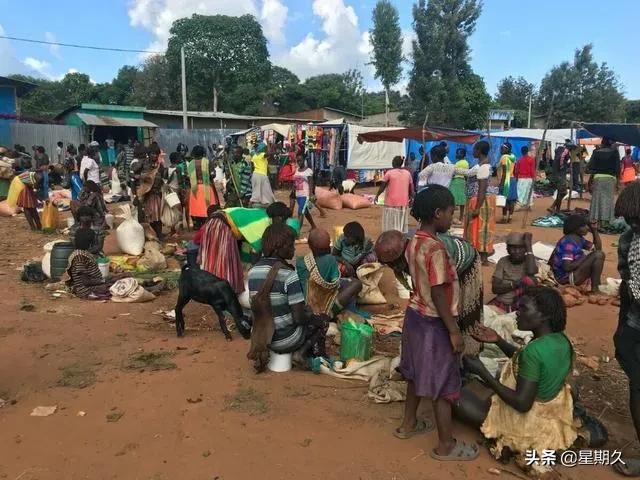 船员在非洲下地休息，有什么需要注意的事项吗？插图8