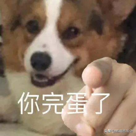 小呆augus推特:如何评价外籍视频博主 「real信誓蛋蛋」？