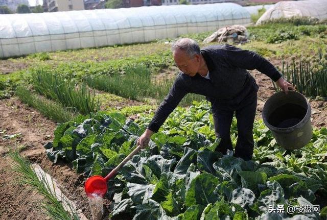 现在的天气预报怎么做到那么的不准的？插图6