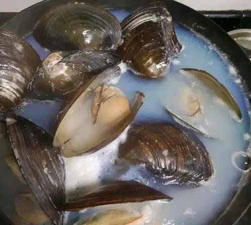 筐蛇尾值钱吗:农村的河沟曾经有很多河蚌，能吃吗？现在为什么都没有了？