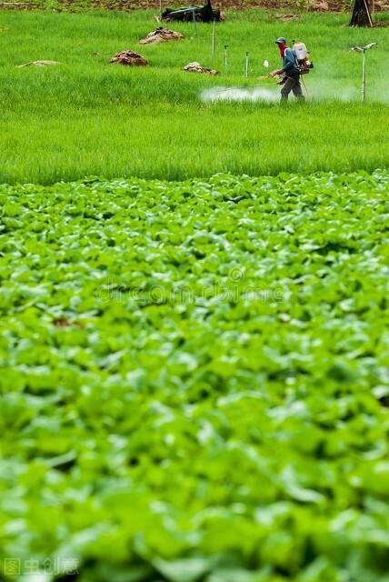 掉马的汉子挺威武雄壮txt:怎样在几天时间内把自己的农药技术提高到王者水平？