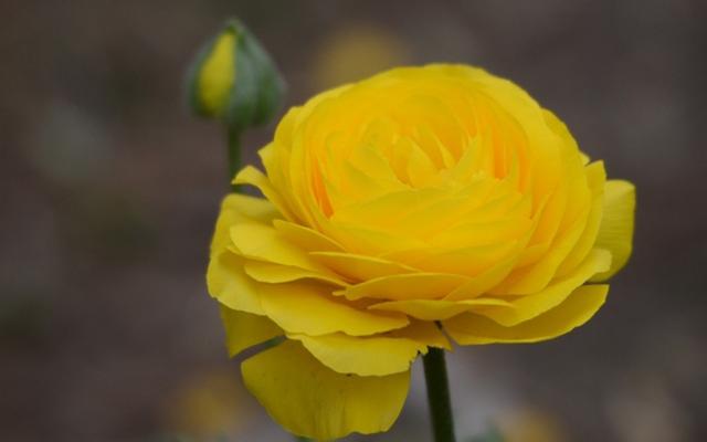 生肖买房子,十二生肖对于买房自己的看法是什么？