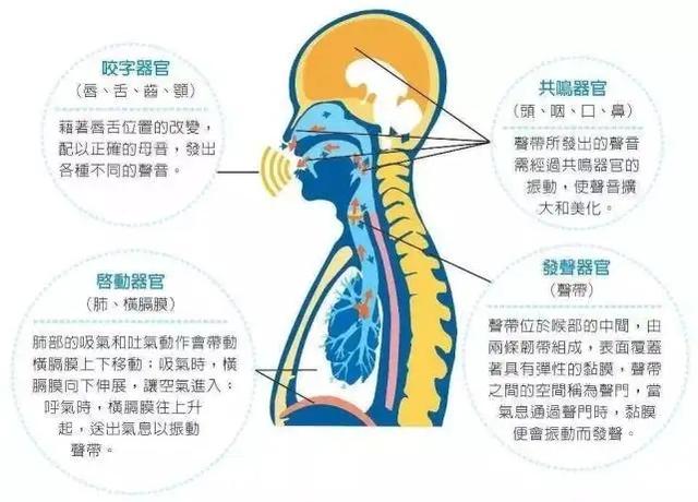 一直:为什么大清早小鸟就开始一直叫个不停，它们不累吗？
