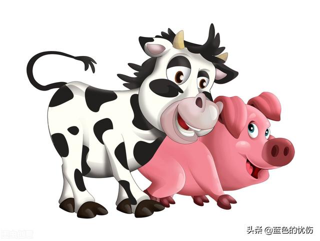 头条问答 生肖猪最怕什么人 35个回答