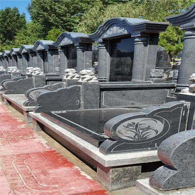 私密地带迎接新的主人:六个月的边牧会认新主人吗？