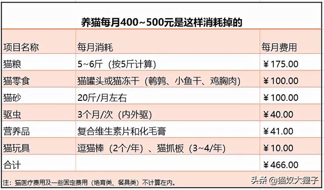 养只家猫多少钱一个月:养只猫一般需要哪些必要支持?每月最低得多少钱能养好一只猫？