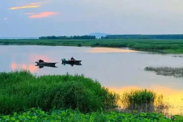 淡水鱼种类以及图片:黄河每天将鱼冲入大海，淡水鱼在海中无法存活，这些鱼都去哪了？