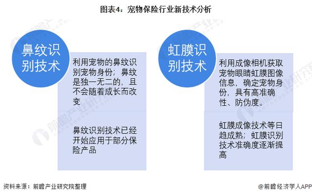 宠物资讯信息:宠物死了以后应该怎么办？